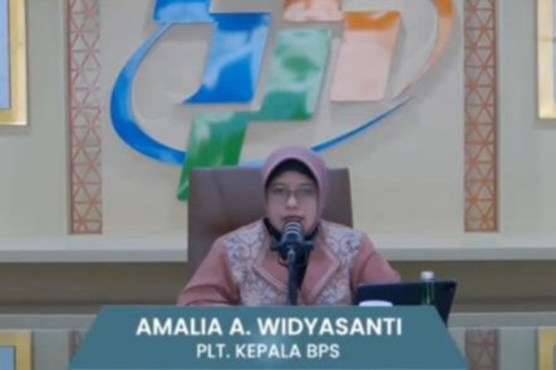 Plt Kepala BPS Amalia A. Widyasanti