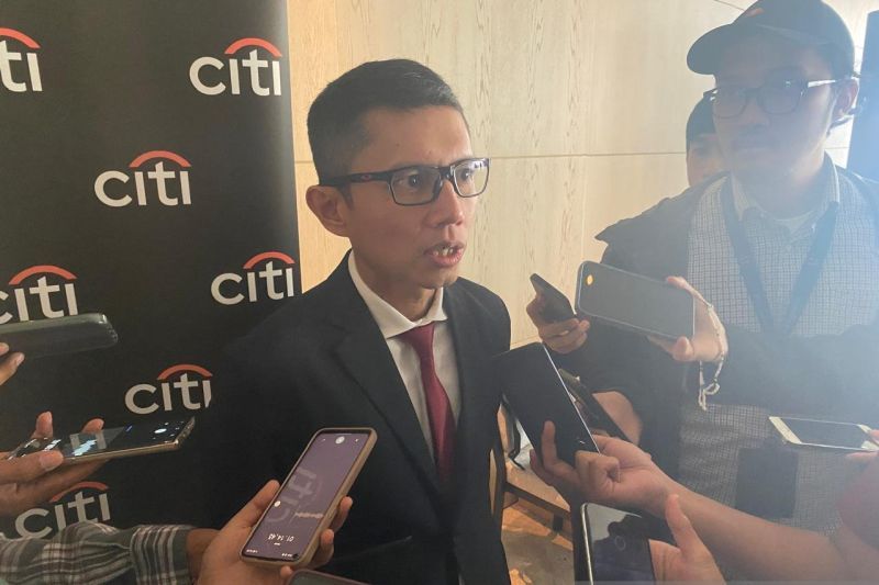 Chief Economist Citi Indonesia Helmi Arman