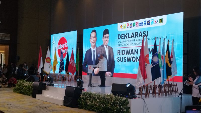 Wakil Ketua Umum Partai Gelora, Fahri Hamzah
