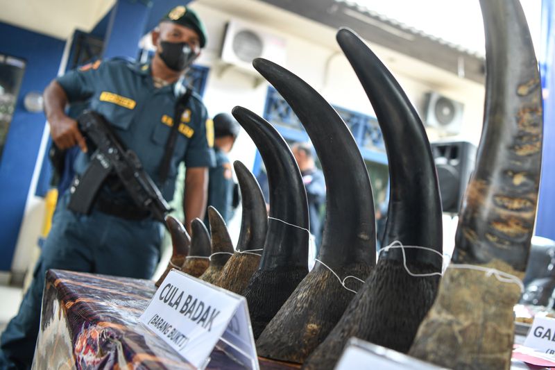 antarafoto-rilis-kasus-penangkapan-perdagangan-ilegal-cula-badak-27082024-lmo-4