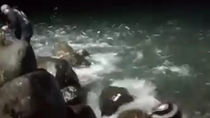 banyak ikan yang mendekati pantai saat musim kemarau di cianjur