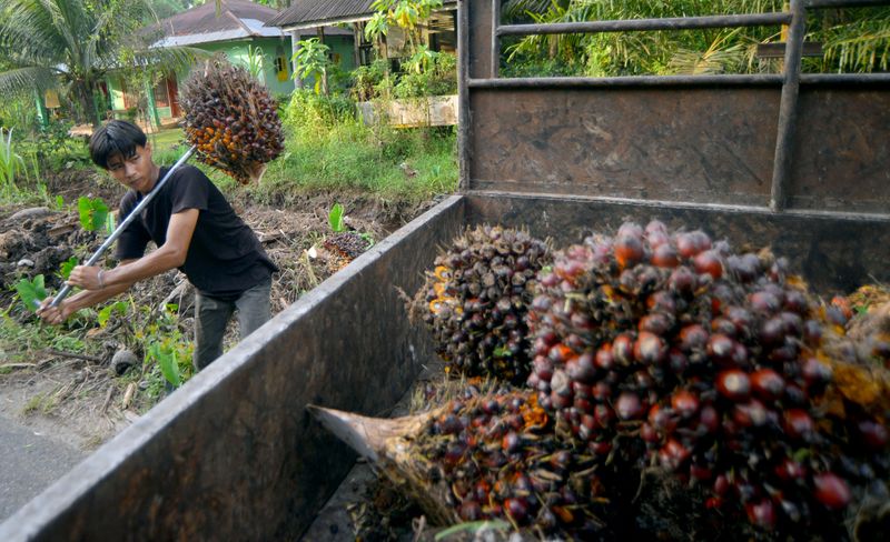 antarafoto-upaya-hilirisasi-kelapa-sawit-020924-ief-3