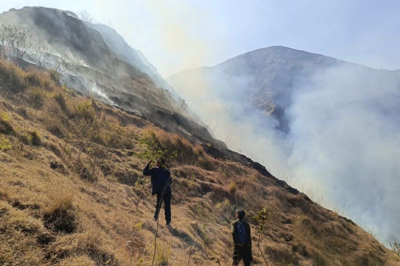 pemadaman kebakaran lahan di Bukit Anak Dara, Kecamatan Sembalun, Kabupaten Lombok Timur