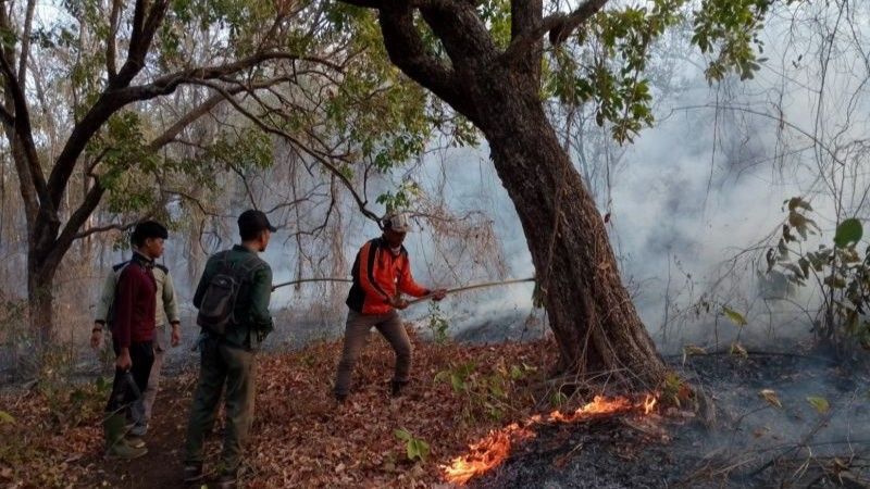 Petugas TN Baluran Situbondo, Jawa Timur, melakukan pemadaman api