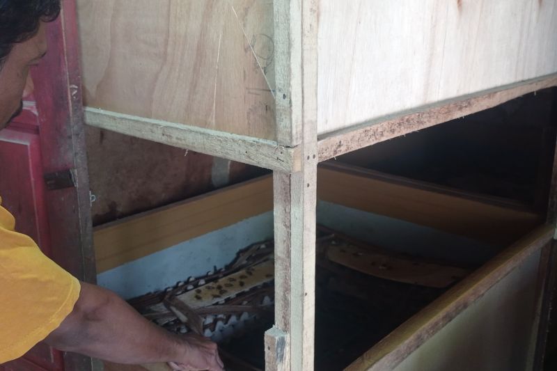 Peternak jangkrik di Kabupaten Lebak