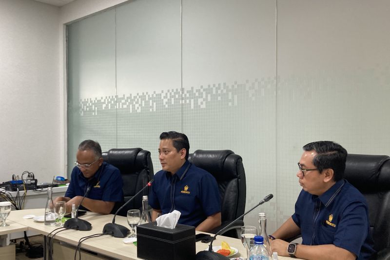 Wakil Menteri Keuangan (Wamenkeu) II Thomas Djiwandono