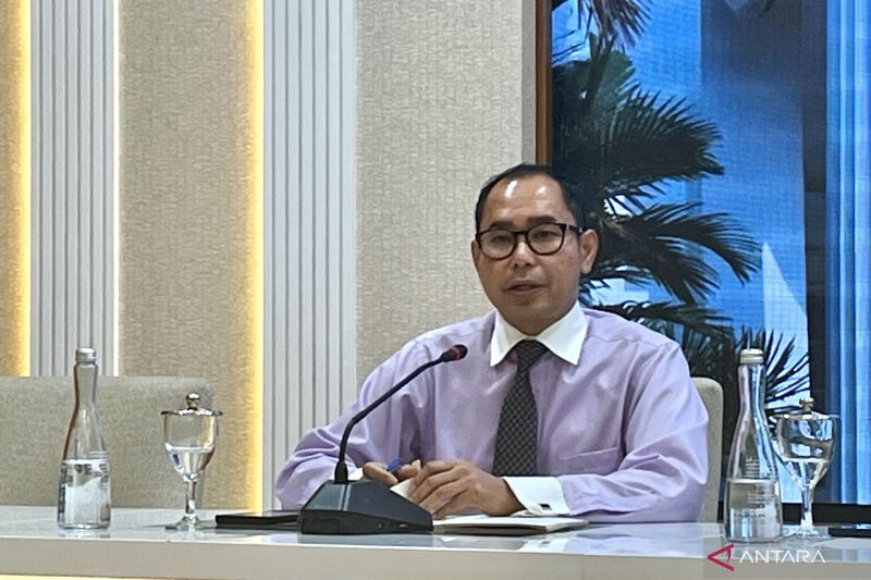 Direktur Pelindungan WNI dan Badan Hukum Indonesia Kementerian Luar Negeri RI Judha Nugraha
