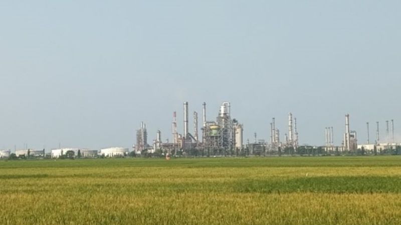Kondisi lahan pertanian sawah di Kabupaten Indramayu