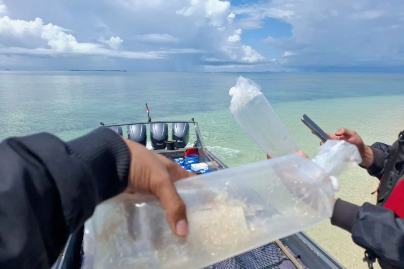 Petugas Bea Cukai wilayah Batam menggagalkan penyelundupan benih lobster