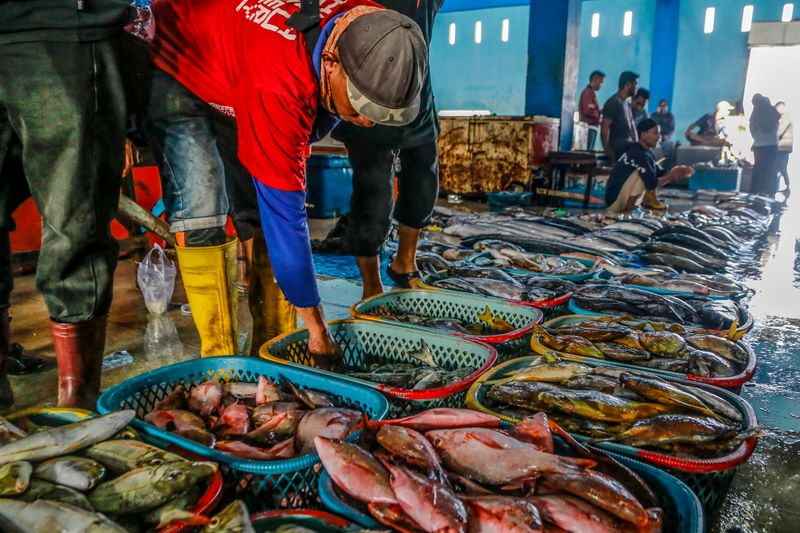 antarafoto-kkp-perluas-jaringan-pasar-perikanan-indonesia-ke-eropa-1730029206