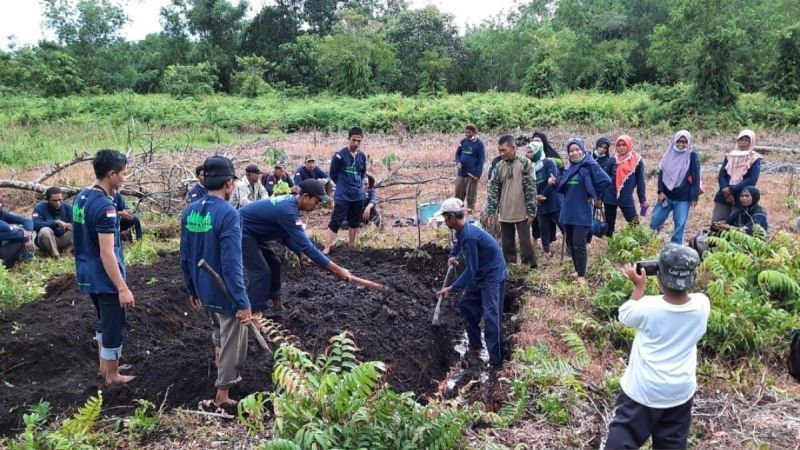 Pengelolaan lahan gambut oleh kelompok masyarakat di Kabupaten Kayong Utara