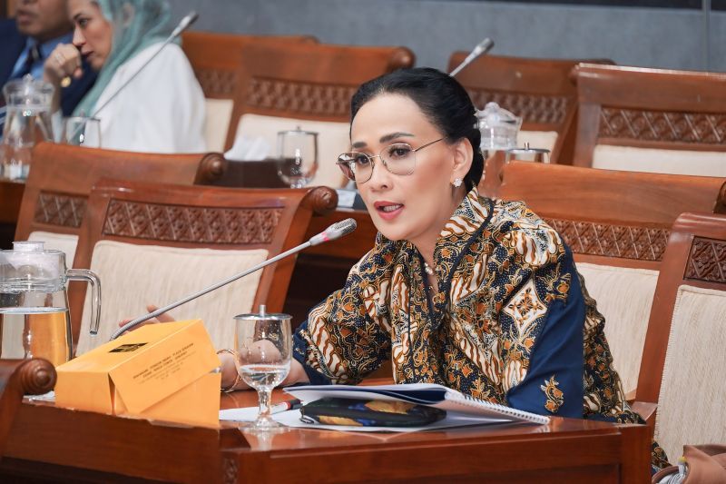 Anggota Komisi I DPR RI Amelia Anggraini