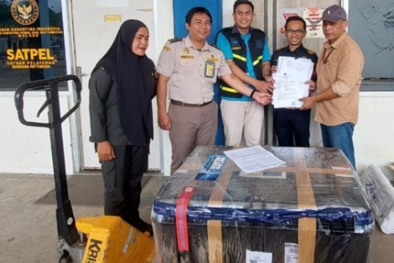pemulangan 15 tengkorak manusia leluhur Desa Amtufu Lorulung
