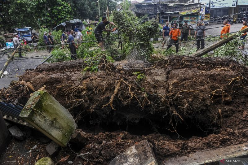 Bencana-angin-kencang-di-lebak-280924-bk-4