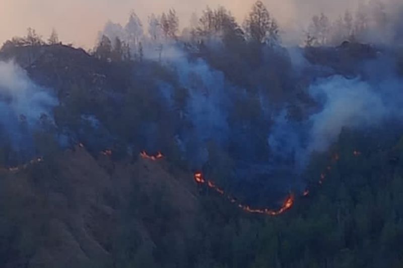 Terlihat titik api di kawasan Gunung Rinjani melalui jalur pendakian Senaru