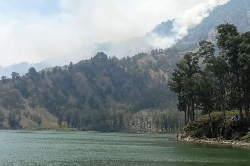 Kondisi kebakaran hutan di jalur pendakian Senaru Gunung Rinjani