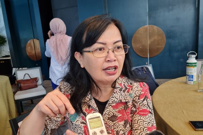 Asisten Deputi Perlindungan Hak Perempuan Dalam Rumah Tangga dan Rentan KemenPPPA, Eni Widiyanti