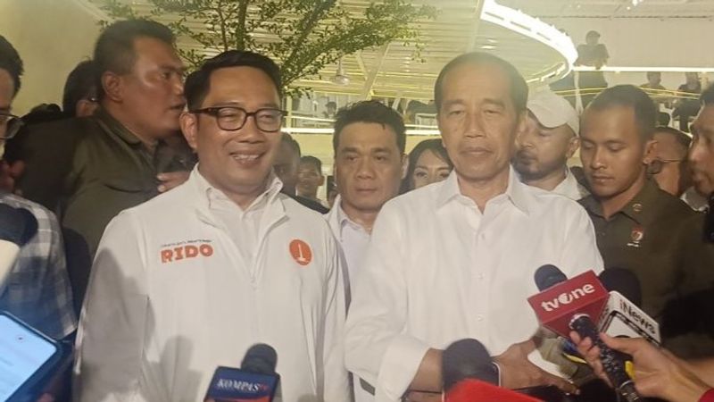 Presiden ke-7 RI Joko Widodo