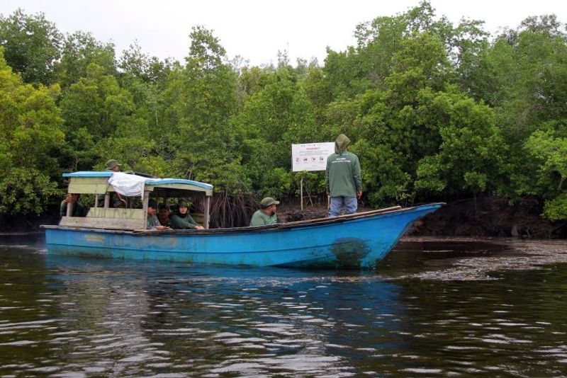 Anggota kelompok pengelola mangrove berpatroli di kawasan hutan konservasi mangrove Teluk Pambang