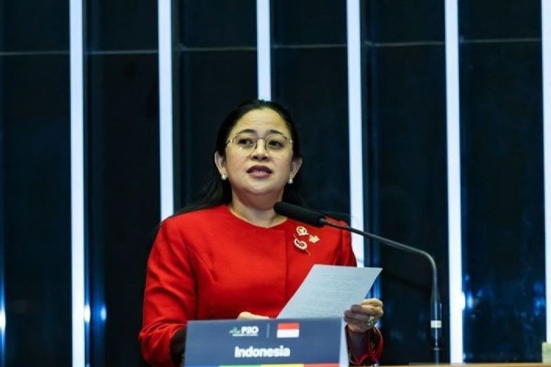 Ketua DPR RI Puan Maharani.