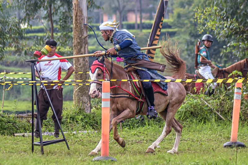 Panahan berkuda-1