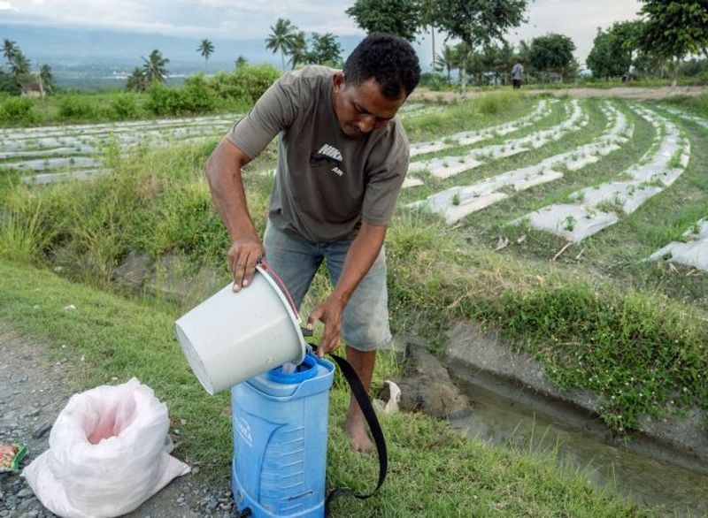 Realisasi-pupuk-Urea-bersubsidi-di-Sulteng-201124-bmz-2