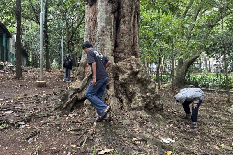 Para warga Bandung saat mencari koin harta karun yang tersebar di Taman Maluku