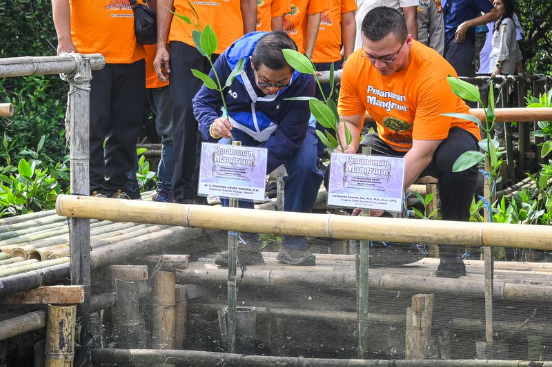 antarafoto-pramono-anung-tanam-mangrove-di-hutan-lindung-angke-kapuk-1738734221