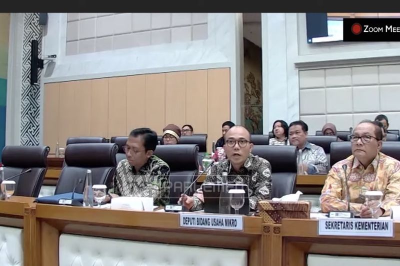 Deputi Bidang Usaha Mikro Kementerian UMKM Riza Adha Damanik