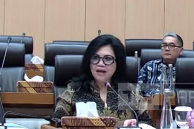 Wakil Ketua Komisi VII DPR RI Evita Nursanty