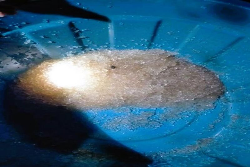 Fenomena hujan berbentuk seperti butiran jelly di Gorontalo Utara