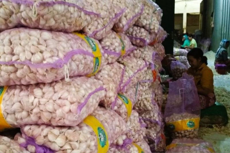 Komoditas bawang putih impor