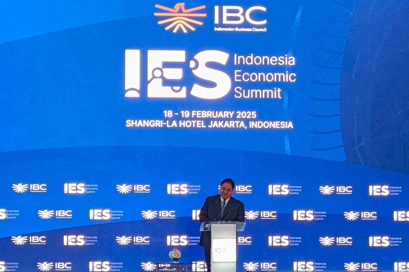 Menteri Koordinator Bidang Perekonomian Airlangga Hartarto
