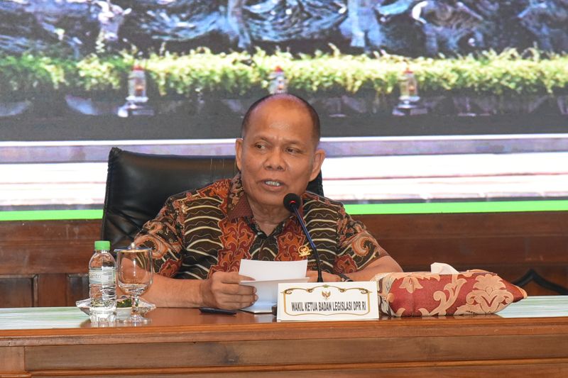 Wakil Ketua Badan Legislasi (Baleg) DPR RI, Sturman Panjaitan