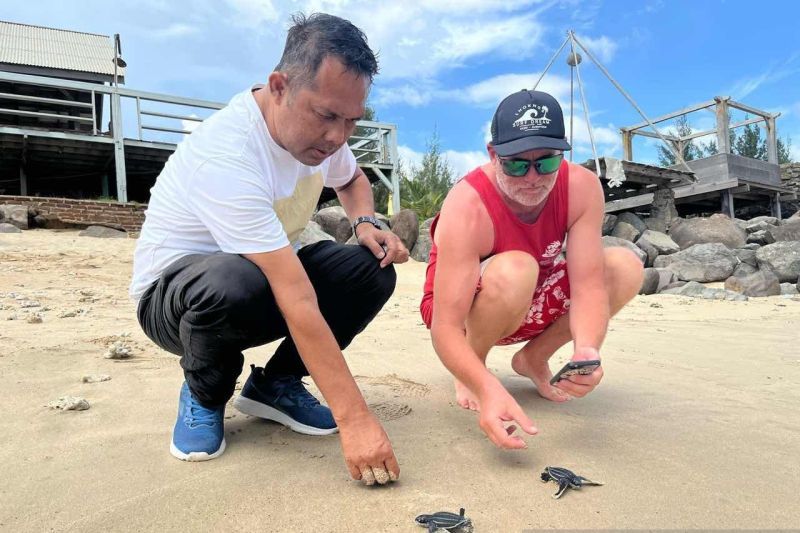 melepasliarkan tukik jenis belimbing di Laut Lampuuk Aceh Besar