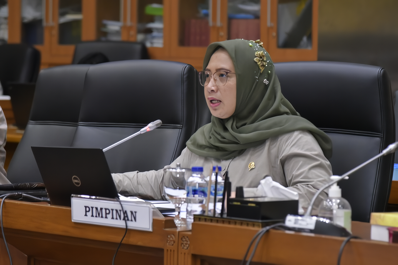 Wakil Ketua Komisi IX DPR RI Nihayatul Wafiroh