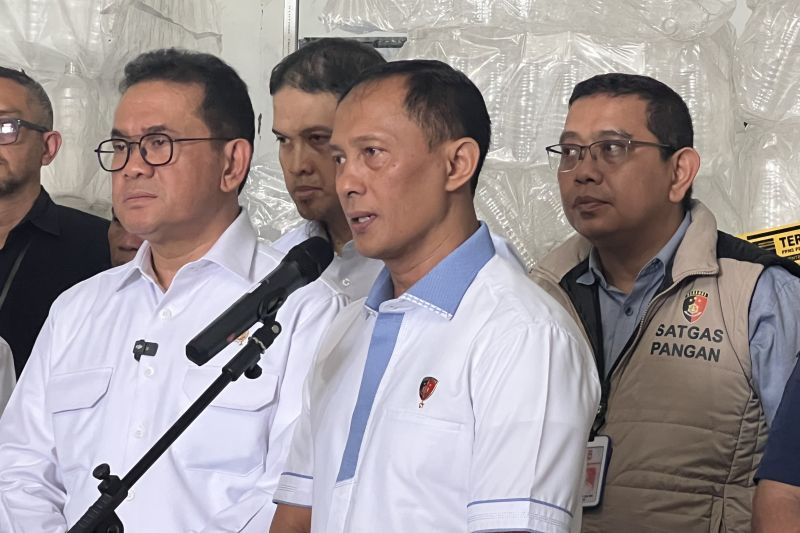 Kepala Satgas Pangan Polri Brigjen Pol Helfi Assegaf
