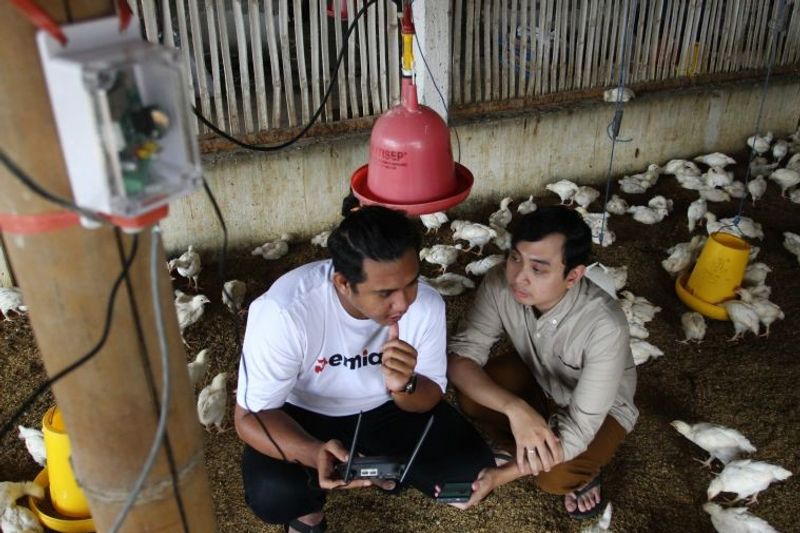 Dosen Fakultas Peternakan Universitas Brawijaya Danung Nur Adli