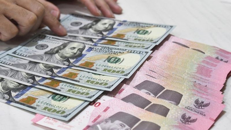 Petugas menyusun yang dolar AS dan rupiah
