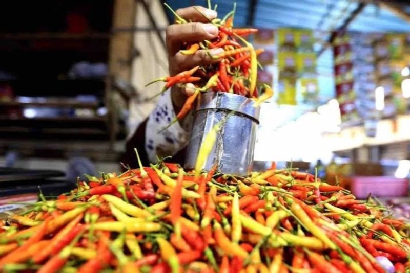 Pedagang menimbang cabai rawit di Pasar Liluwo