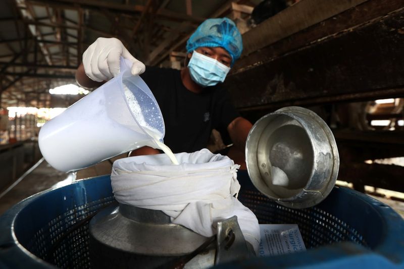 antarafoto-produksi-susu-kambing-etawa-1744809411-1