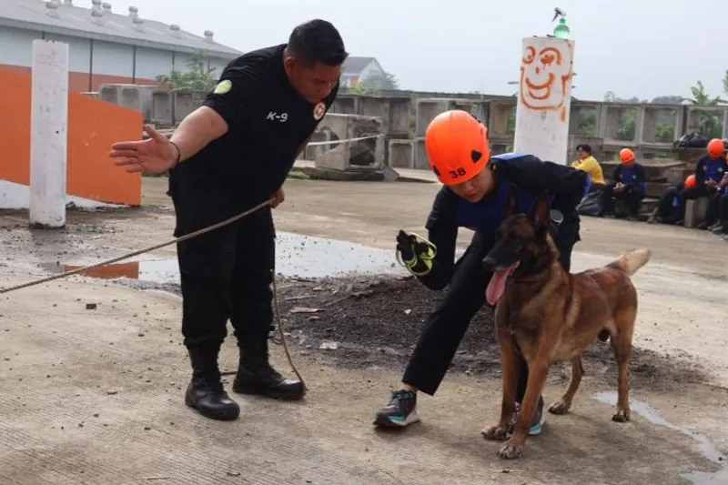 Anggota Basarnas dilatih menjadi pawang anjing pelacak (K9)