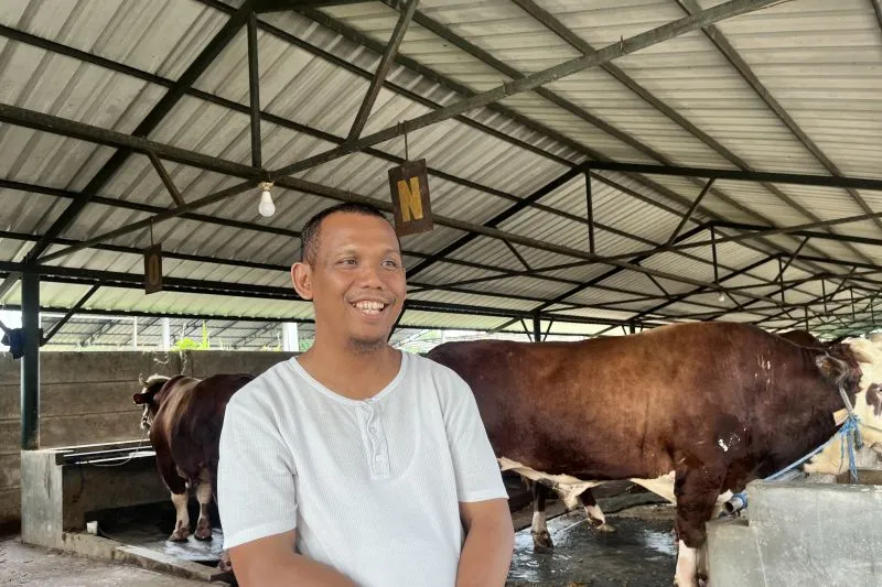Pemilik Peternakan Berkah Bersama Sejahtera (BBS) Ahmad Jupri