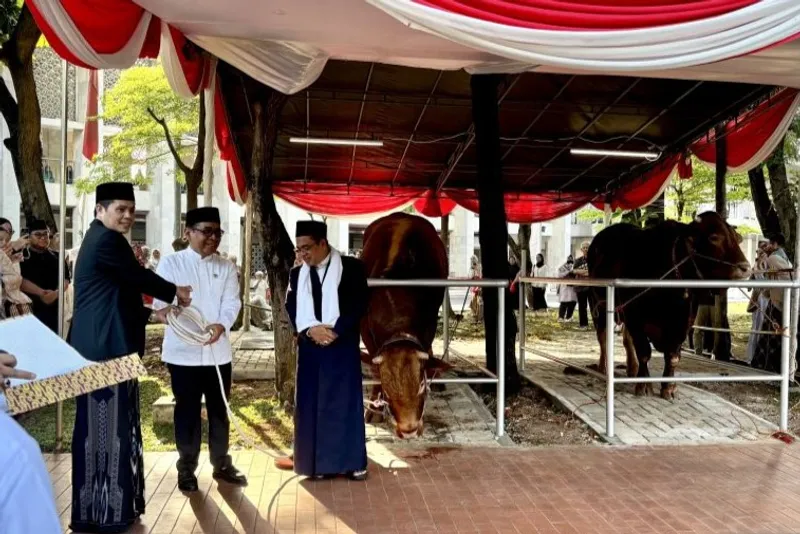 Menteri Koordinator Bidang Pembangunan Manusia dan Kebudayaan (PMK) Pratikno