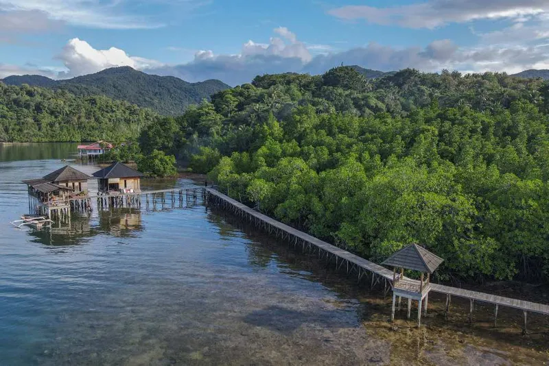 antarafoto-rencana-peraturan-perlindungan-dan-pengelolaan-mangrove-1749309093-1
