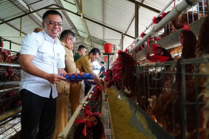 Deputi Bidang Ketersediaan dan Stabilisasi Pangan Bapanas I Gusti Ketut Astawa