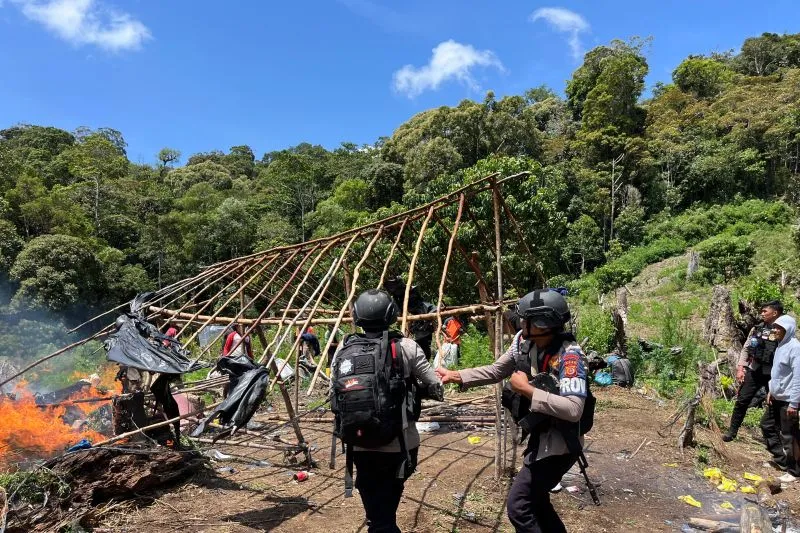 Personel tim gabungan memusnahkan ladang ganja di Kabupaten Nagan Raya, Aceh