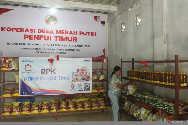 Koperasi Desa Penfui Timur, Kabupaten Kupang