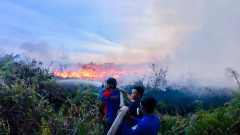 Petugas melakukan upaya pemadaman kebakaran di Desa Napai Aceh Barat