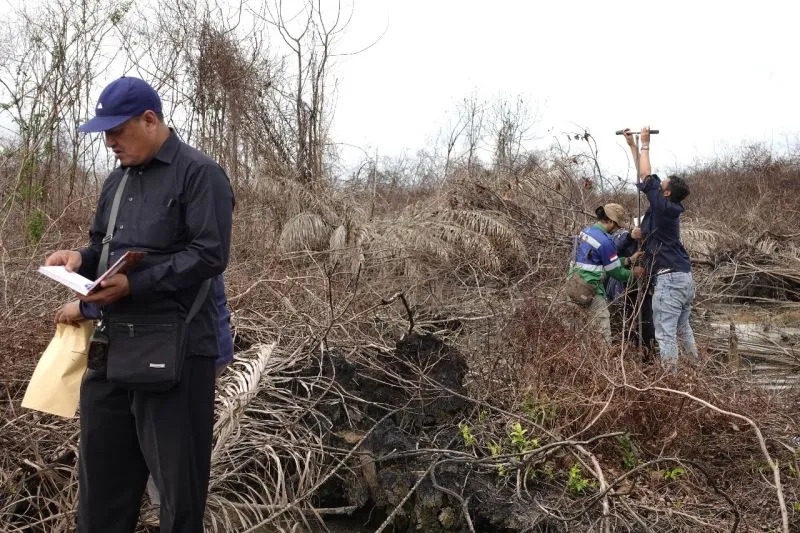 Gakkum KLH dan para ahli memeriksa lokasi kebakaran lahan kebun sawit